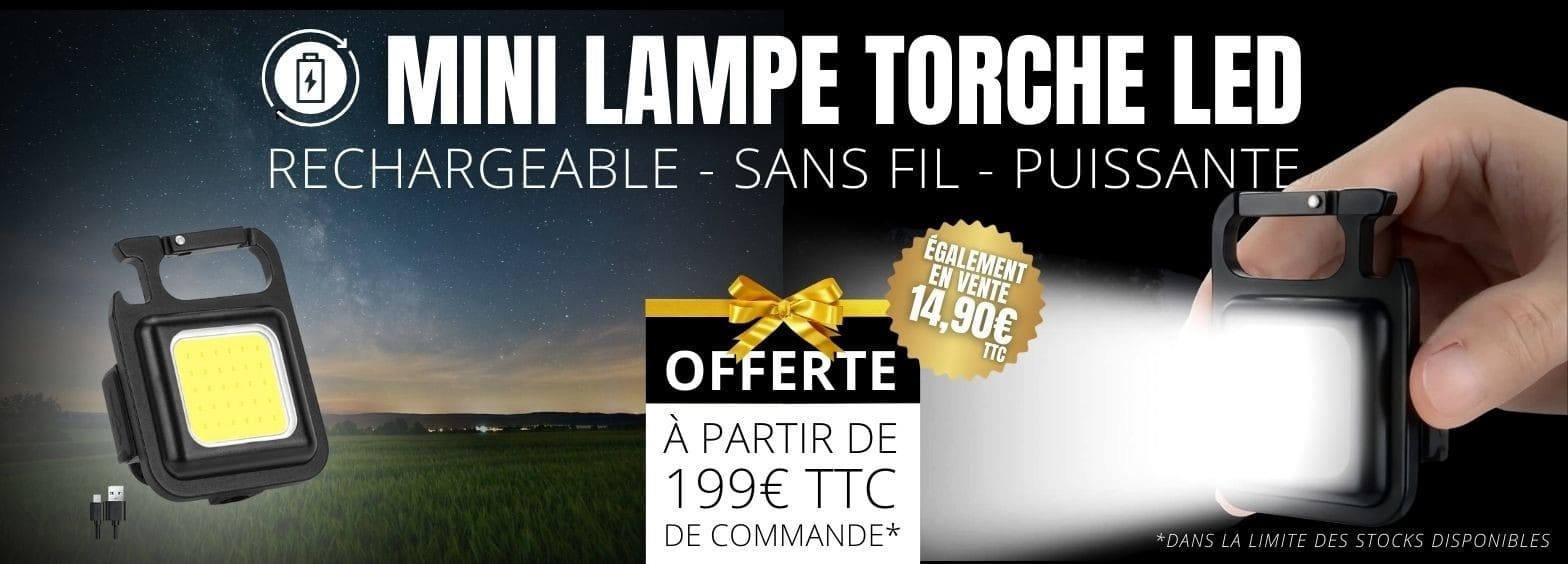 Mini lampe torche LED offerte